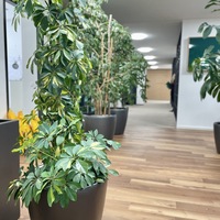 Gallery Foto