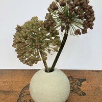 Gallery Foto