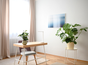 Gallery Foto
