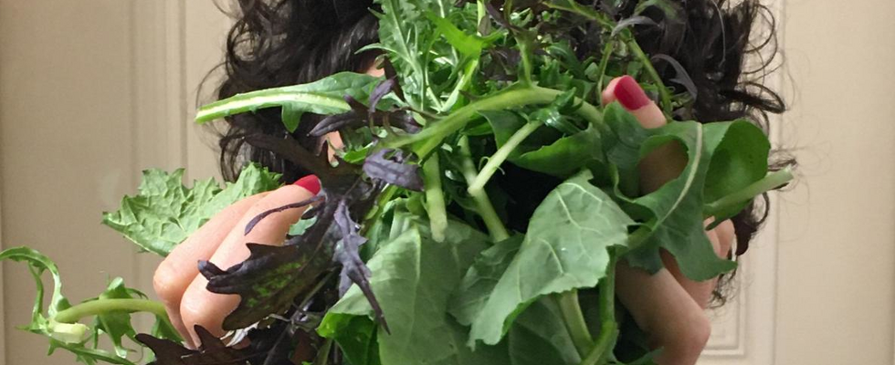 FoodCoop MIA Pastinaken