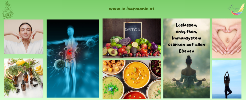 Sanft entgiften, loslassen & Immunsystem stärken auf allen Ebenen