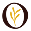 Ocker Studio | DIY-Workshops