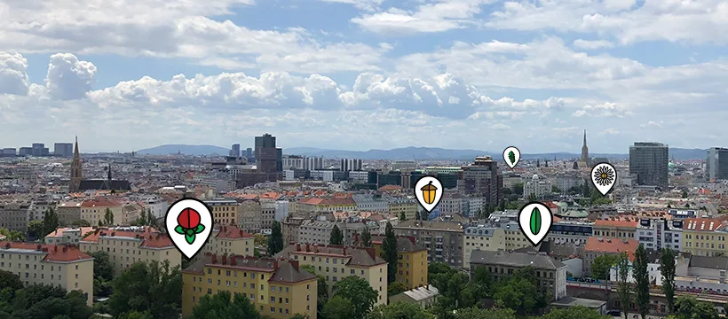 nemmama – Foto 1