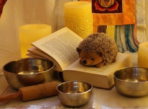 Klanggeschichte: Der Igel Kasimir