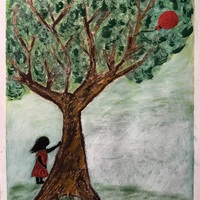 Gallery Foto