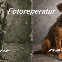 Gallery Foto