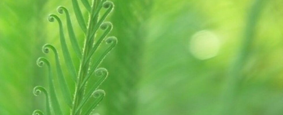 fresh date:    FRISCHE in jedem Bereich deines Lebens