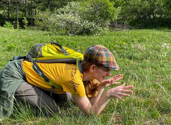 Wiesentauchen - Pflanzen begegnen - Natur begreifen