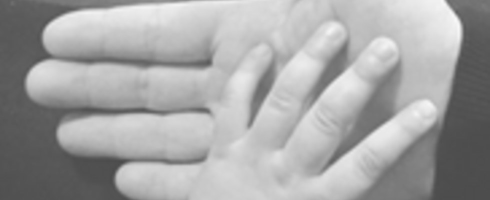Montessori Workshops