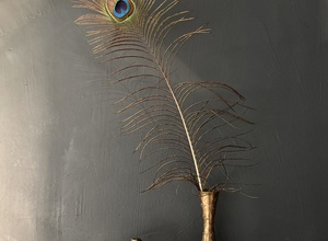Gallery Foto