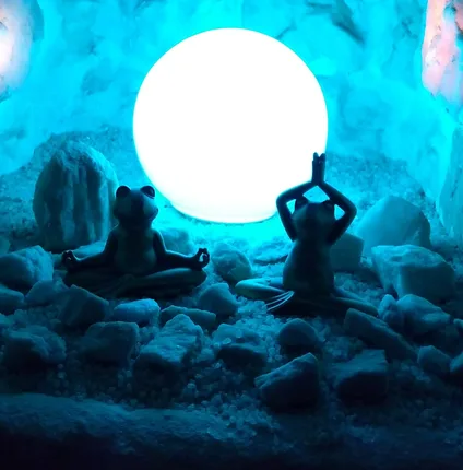 Zentrum für Energetik & Salzgrotte Salzpalast – Foto 6
