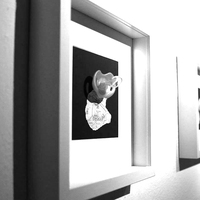Gallery Foto