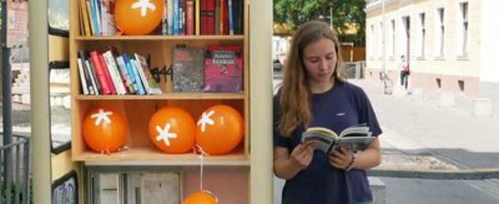 „In unseren Worten“ Eröffnung Bücherzelle und Lesung im Odeonpark