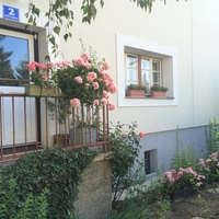 Gallery Foto