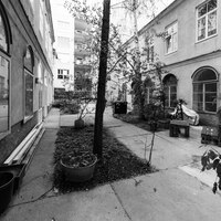 Gallery Foto