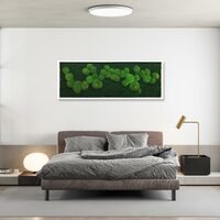 Gallery Foto