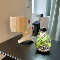 Gallery Foto