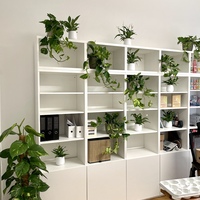 Gallery Foto