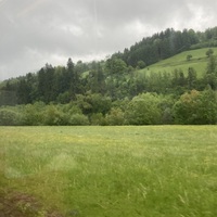 Gallery Foto