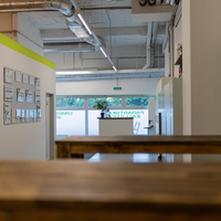 Gallery Foto