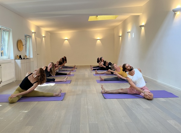 Yoga Basics - Dein Einstieg ins Yoga