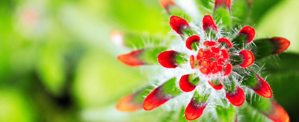 Erleben. Erkennen. Erinnern – Raum für neue Perspektiven auf ADHS