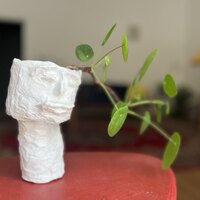 Suchen Einmieter:innen für ruhige, helle Praxisgemeinschaft