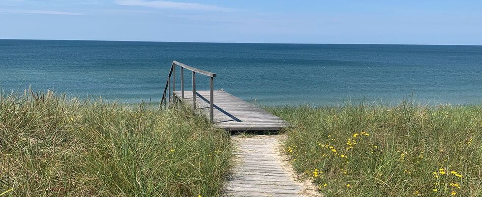 Wünsche und Wege
