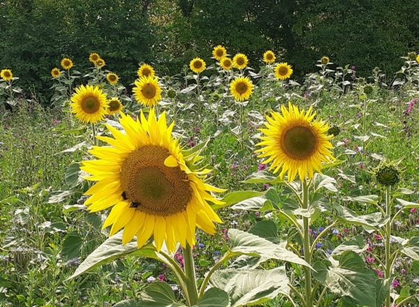 ANMELDUNG NUR NOCH BIS 12.10.2025 MÖGLICH!!!!Lady's Retreat Selbstfürsorge