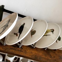 Gallery Foto