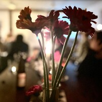 Gallery Foto