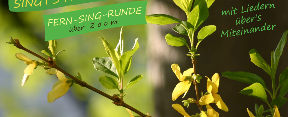 FERN-SING-RUNDE - Miteinander singen trotz Quarantäne 🙂
