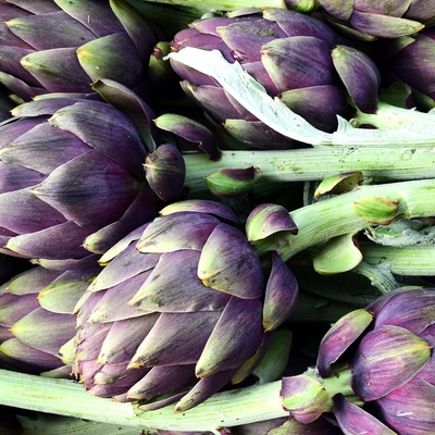 Monte Ofelio Alimentari