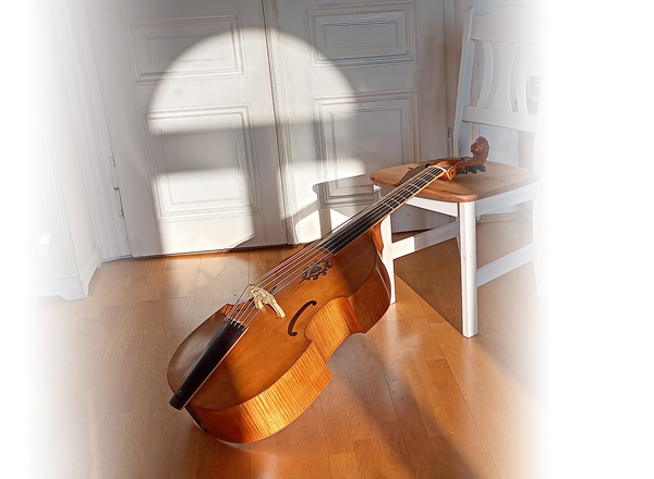 Viola da gamba Unterricht