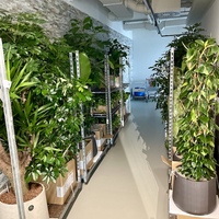 Gallery Foto