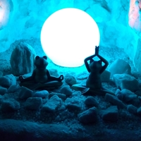Gallery Foto