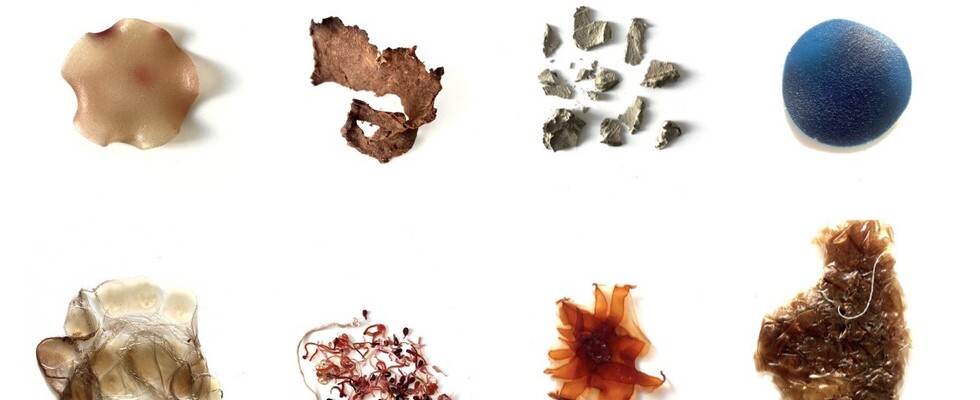 Loana Flores: Memory Labatory