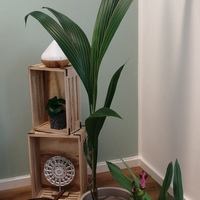 Gallery Foto