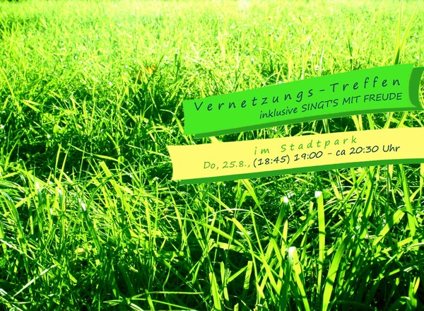 Vernetzungs-Treffen mit Singfreude