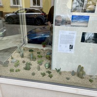 Gallery Foto
