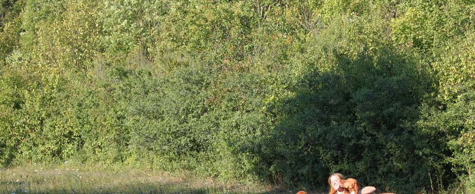 Daniela Linsbauer Hundetraining