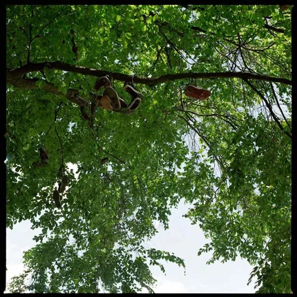 Strdwk – Foto 6