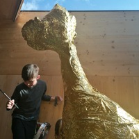 Gallery Foto