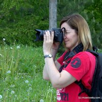 Gallery Foto