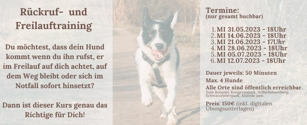 Rückruf- und Freilauftraining
