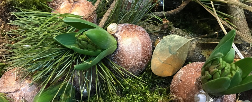 🌟 Adventnewsletter aus dem Wertreich 🌟