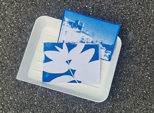 Prints mit der Sonne - Cyanotypie für Jung & Alt