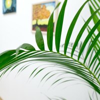 Gallery Foto
