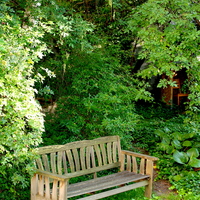 Gallery Foto
