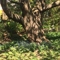 Maerju´s Geschichtenladen